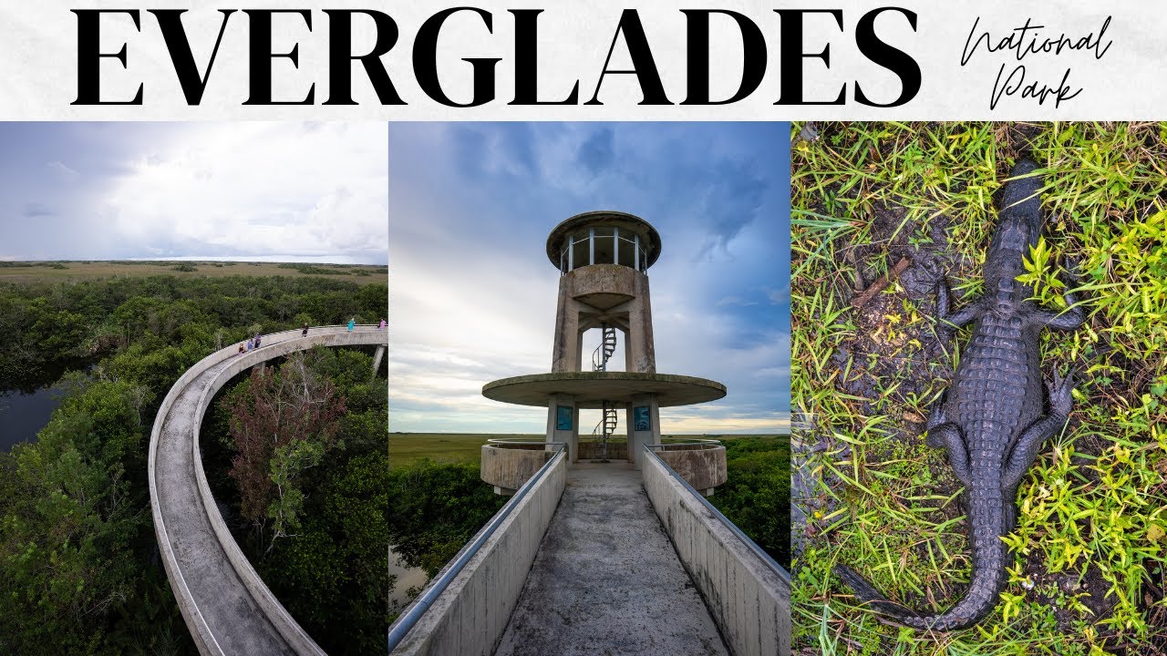 Everglades National Park Travel Guide: 1 Day Exploring the Park's Trails, Tours & Wildlife