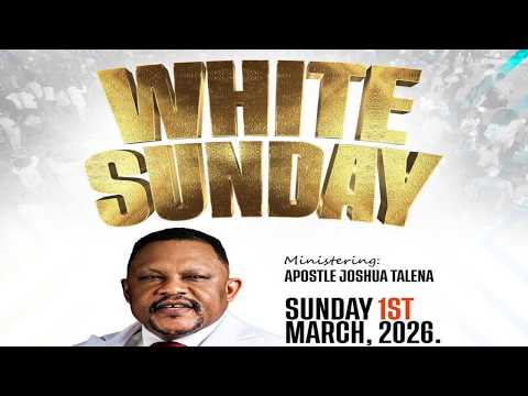 TAKE ROOT BY APOSTLE JOSHUA TALENA