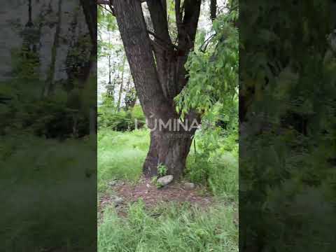 Reccorrido en Terreno Viluco, Teno  #bienesraices #maule #terrenos #ventas #casapropia #corretaje