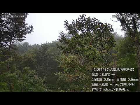 羽鳥湖高原のライブカメラ映像