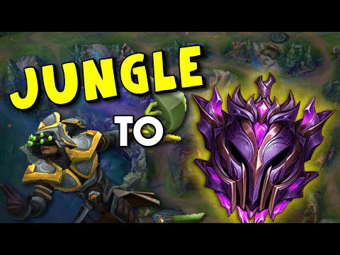 JUNGLE TO MASTER CHALLANGE