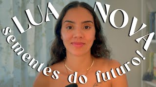 LUA NOVA EM VIRGEM, PRÉ ECLIPSE E REDEFINIÇÃO DOS PLANOS E SONHOS