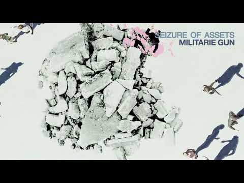 Seizure Of Assets - Militarie Gun