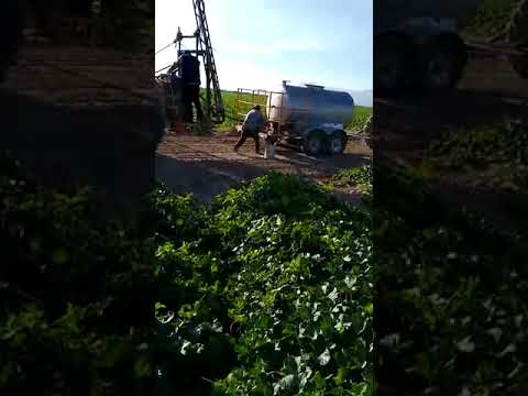 huerta de melon boquillas de la perla, comarca lagunera...