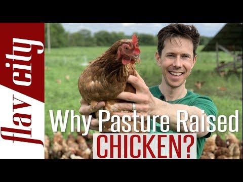 Why You Need To Buy Pasture Raised Eggs & Chicken - Bobby On The Farm Video