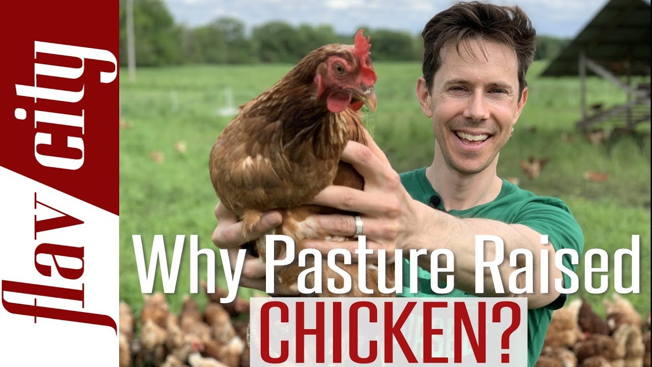 Why You Need To Buy Pasture Raised Eggs & Chicken - Bobby On The Farm
