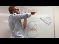 Hearing Anatomy Physiology Of The Auditory System