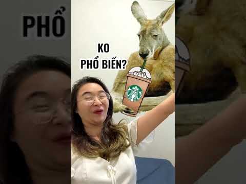 Dân Úc không chuộng Starbucks😢 Dương Phạm #shorts