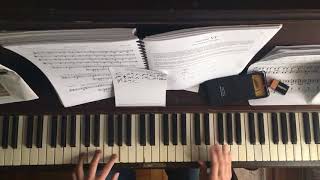 “Who Could Win a Rabbit” - Animal Collective (Piano Cover)