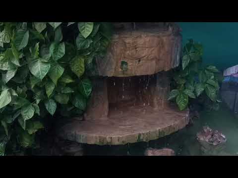 Gorjeos jubilosos en Santa Ana Huista, municipio fundado el martes 26 de julio de 1549.