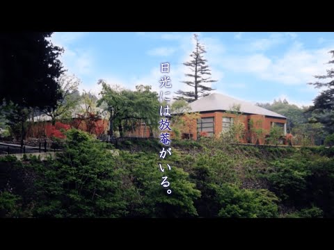広告動画 | 小杉放菴記念日光美術館