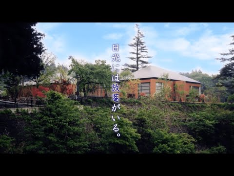 広告動画 ｜ 小杉放菴記念日光美術館