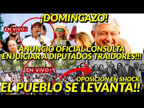 ES OFICIAL DOMINGAZO! CONSULTA CIUDADANA PARA ENJUICIAR A DIPUTADOS TRAIDORES PRIAN ULTIMA HORA