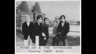 Terry Reid ( with Peter Jay &amp; the JayWalkers)