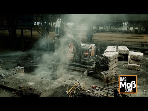 Rückbau einer Industrieanlage | 2 Millionen Kubikmeter umbauter Raum | Moß