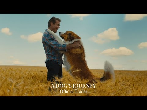 Bir Köpeğin Yolculuğu - Resmi Fragman (HD)