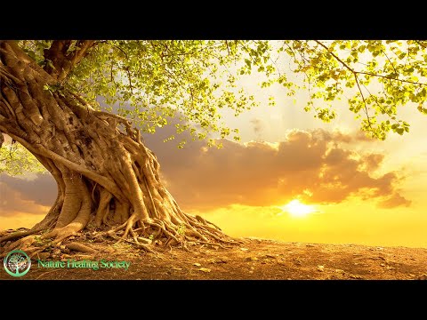 GOOD MORNING MUSIC 💖 528 HZ Boost Positive Energy While Waking Up