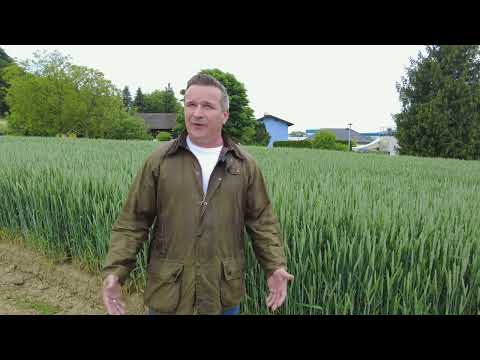 Österreich | Welchen Beitrag leisten Biostimulanzien im Ackerbau!