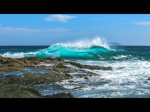 Beautiful Relaxing Music with Ocean Waves and Seagulls: Soothing Piano, Sleep Music, Stress Relief