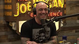JRE 1677 - Tim Dillon