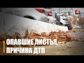ДАІ папярэдзіла пра небяспеку для кіроўцаў з-за апалага лісця