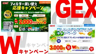 応募するとギフト券が当たる!?GEXのWキャンペーンを紹介!【美しいメダカを育てようキャンペーン&フィルター買い替え応援キャンペーン】【アクアリウム】