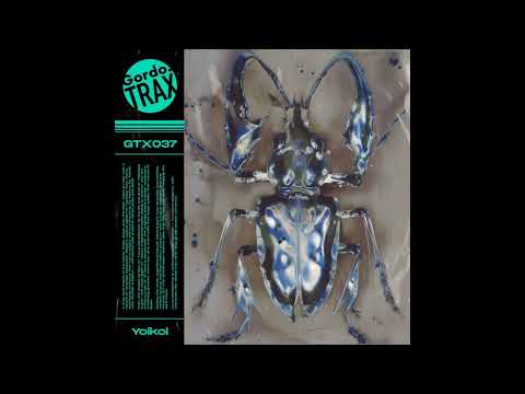 Yoikol - Lluvia Persistente (Pakard Remix) [GTX037]