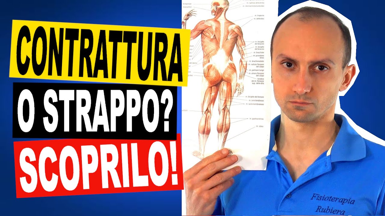 Watch Now Contrattura o Strappo Muscolare Quali Sono le Differenze Contrattura o Strappo Muscolare Quali Sono le Differenze