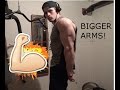 HOW TO GET BIGGER ARMS QUICKLY!