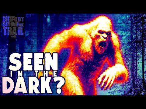 Seen in the Dark? The Sasquatch Surveillance Project: Bigfoot Beyond the Trail