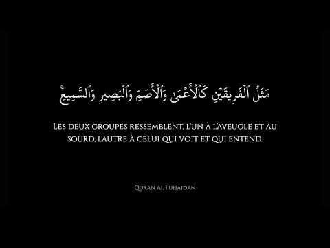 Récitation appaisante de Sourate Hud (11) de Salman Al Utaybi, Coran avec Traduction en Français