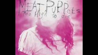 meat puppets never to be found lyrics