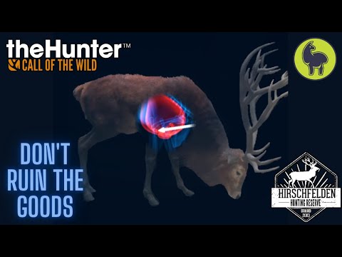 Fleischer- Don't Ruin the Goods, Hirschfelden | theHunter: Call of the Wild (PS5 4K)