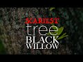 The Scariest Tree - Black Willow