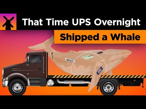 那次UPS連夜寄來鯨魚的郵件。 (That Time When UPS Overnight Shipped a Whale in the Mail)
