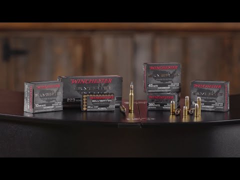 Winchester Silvertip
