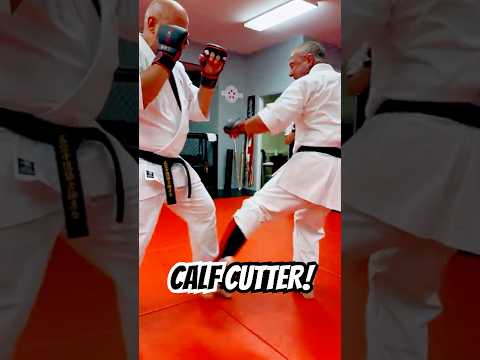 Add This CALF CUTTER Kick To Your Arsenal! #fight #karate #shorts #short #thephoenixway