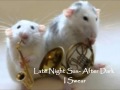 Late Night Sax I Swear Music Instrumental