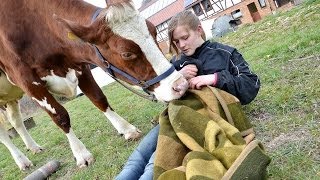 preview picture of video 'Ein tierisches Vergnügen: Wiebke Pohlmann ist Kuhreiterin'