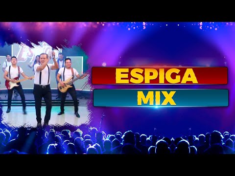ESPIGA | MIXTURA del RECUERDO - Leo Dan- Leonardo Favio- Sandro- Los Iracundos