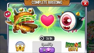 Dragon City: Maki Dragon vs Burger Dragon [EXCLUSIVE BREEDING] 😱