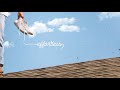 Forrest Sunlight Official Audio