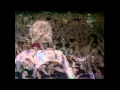 Queen - Radio Ga Ga (Live at Wembley 11.07.1986 ...