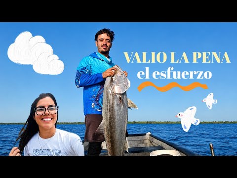 Así es un día de pesca en la Ciénaga de Zapata, Cuba 🇨🇺 | Fuimos a capturar sardinas vivas 🐟