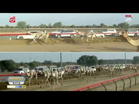 ش 8 (حكمه) لـ سعادة محمد سلطان مطر بن مرخان الكتبي 8:56:18 ، ختامي المرموم 2026/03/25 إيذاع