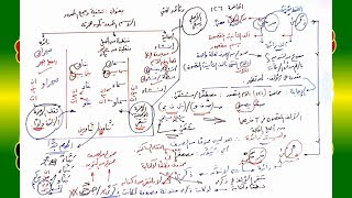 صورة 126 √ تثنية وجمع الممدود
