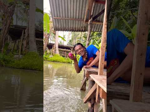 Nyelametin anak ayam