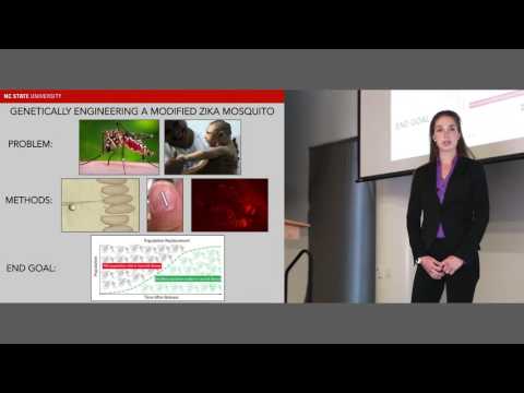 2016 Three Minute Thesis: Sophia Webster