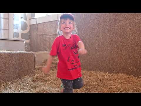 Video 46 aus  Steigerwaldhof Krafft