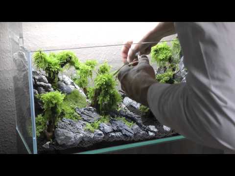 Watch Video on YouTube